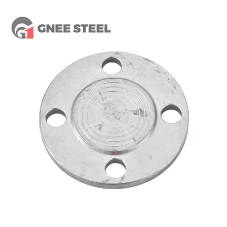 302 Stainless Steel Flange Cover