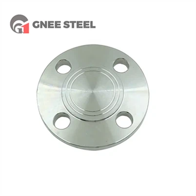 Cubierta de brida de acero inoxidable 202