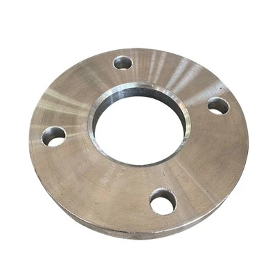 Brida de acero inoxidable 301