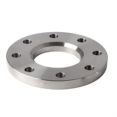 Brida de acero inoxidable SUS 317L