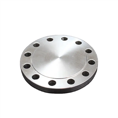 Brida de acero inoxidable SUS 420J1