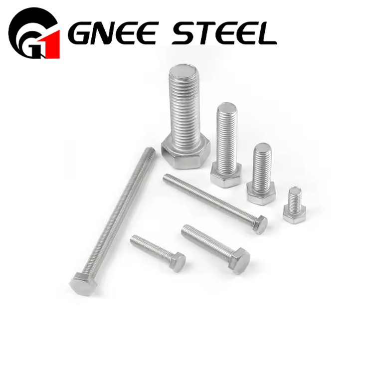 Stainless Steel Hex Bolts